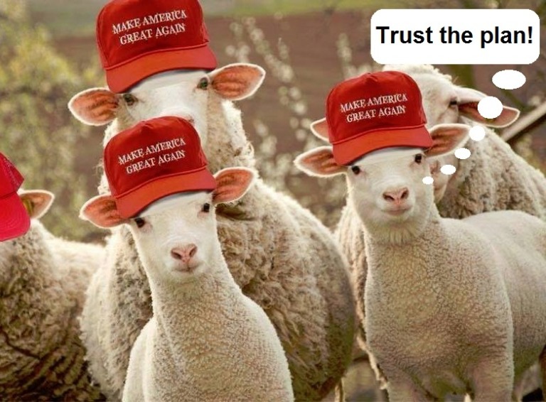 Sheep-wearing-MAGA-hats-trust-the-plan-768x566