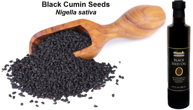 Black-Cumin-Seeds-with-bottle-of-black-seed-oil-nigella-sativa-768x440